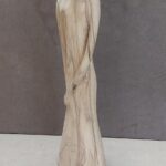 Nobile donna (Olivo H 47 cm)